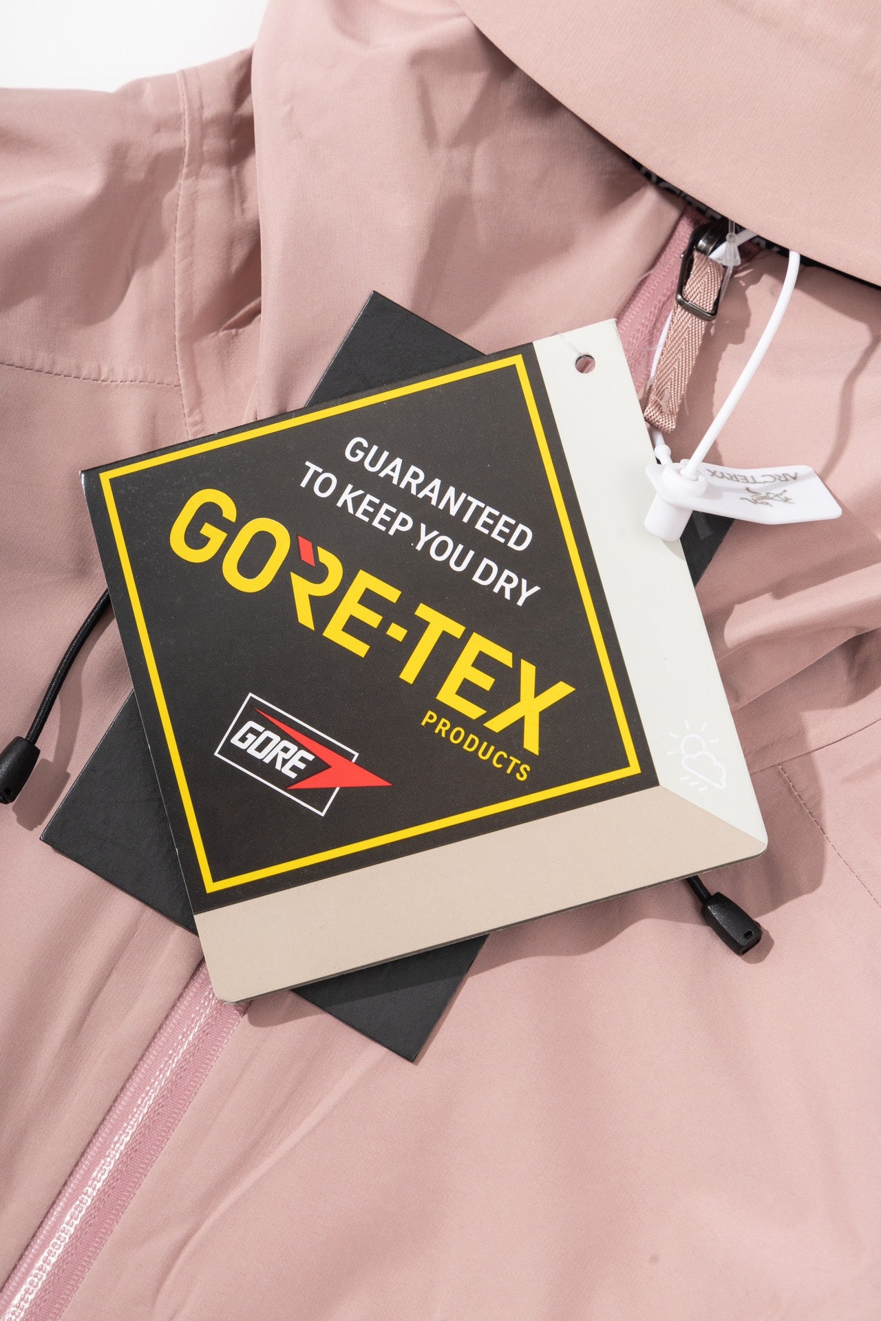 Arc'teryx Beta LT GORE-TEX Shell Pink